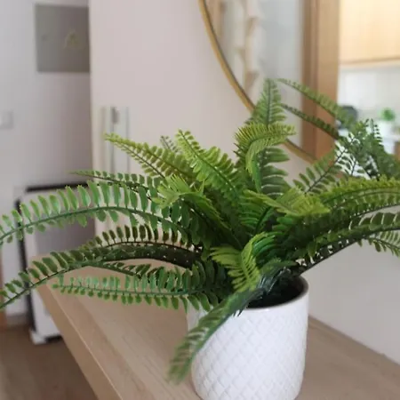 Casa Mar E Sol - Da Consolacao Daire