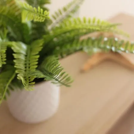 Апартаменты Casa Mar E Sol - Da Consolacao Атогиа-да-Балейя