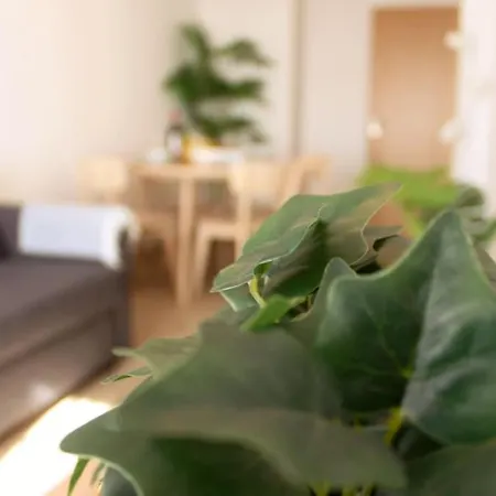 Casa Mar E Sol - Da Consolacao Апартаменты Атогиа-да-Балейя