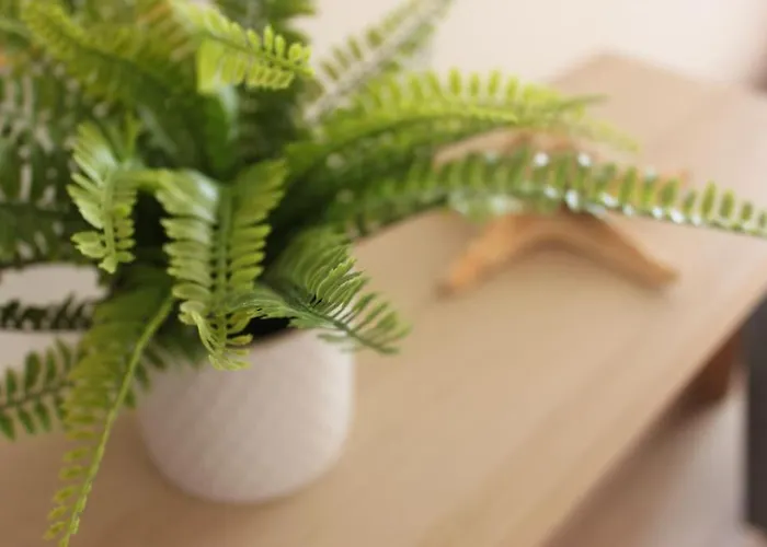 아파트 Casa Mar E Sol - Da Consolacao 아토우기아다발레이아