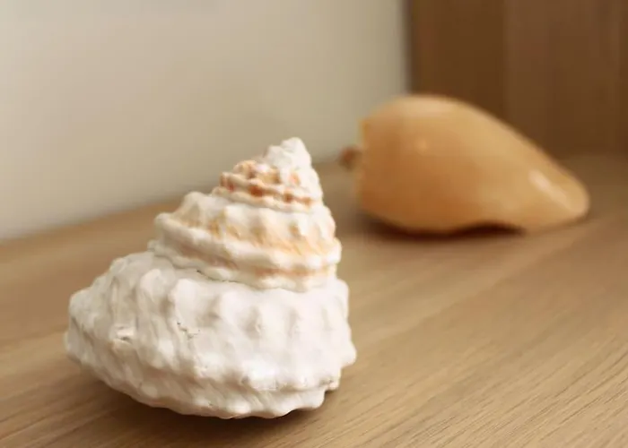 Casa Mar E Sol - Da Consolacao 아파트