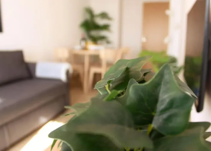 Casa Mar E Sol - Da Consolacao 아파트 아토우기아다발레이아