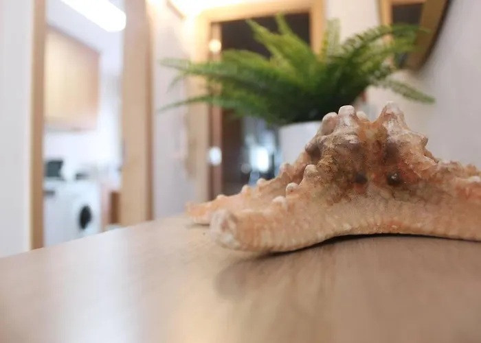 Casa Mar E Sol - Da Consolacao *