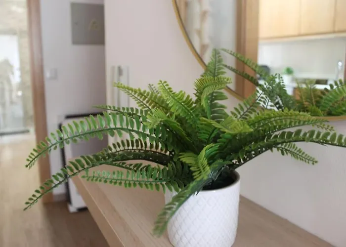 Casa Mar E Sol - Da Consolacao 아파트